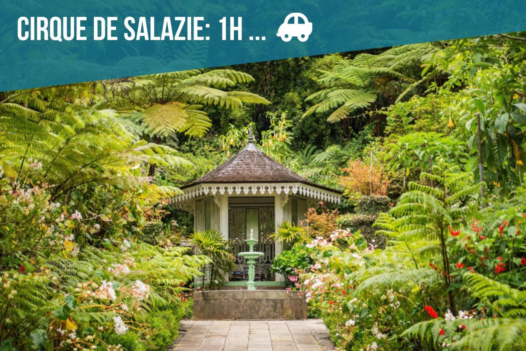 T2 Fleur De Lotus Saint-Denis Exterior foto